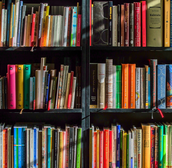 雨霖的漫画书店